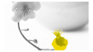 clôture projet - référentiel de test